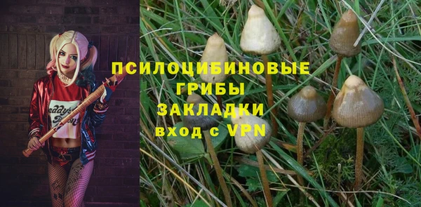 хмурый Армянск