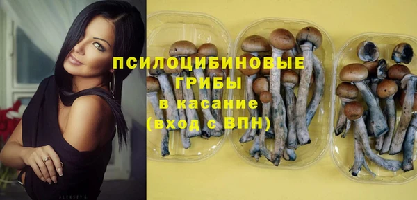 apvp Нягань