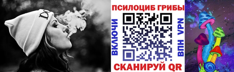 Псилоцибиновые грибы мицелий Гатчина