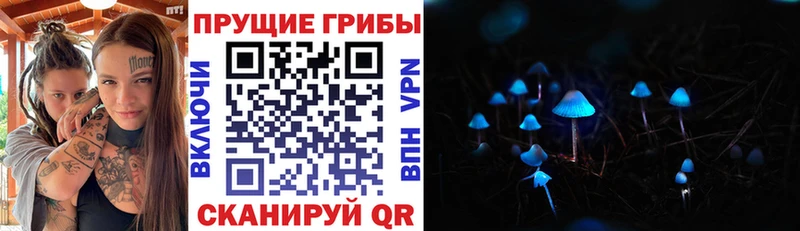 Псилоцибиновые грибы ЛСД Гатчина