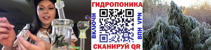 Марихуана VHQ  hydra ССЫЛКА  Гатчина  купить  цена 